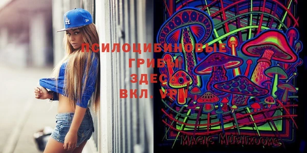 хмурый Инсар