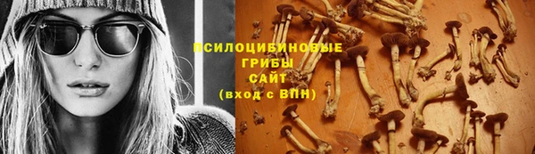 Альфа ПВП Алзамай