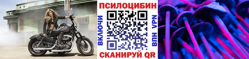 Галлюциногенные грибы мухоморы  Александров 